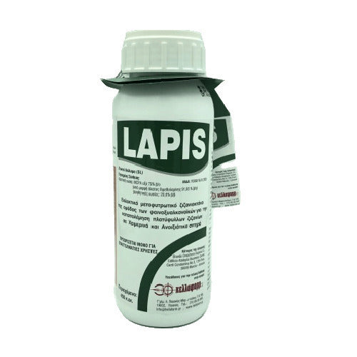 Lapis